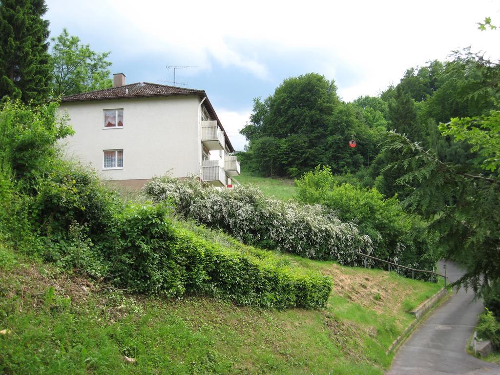 Schlossberg Ferienwohnung 발트에크 외부 사진