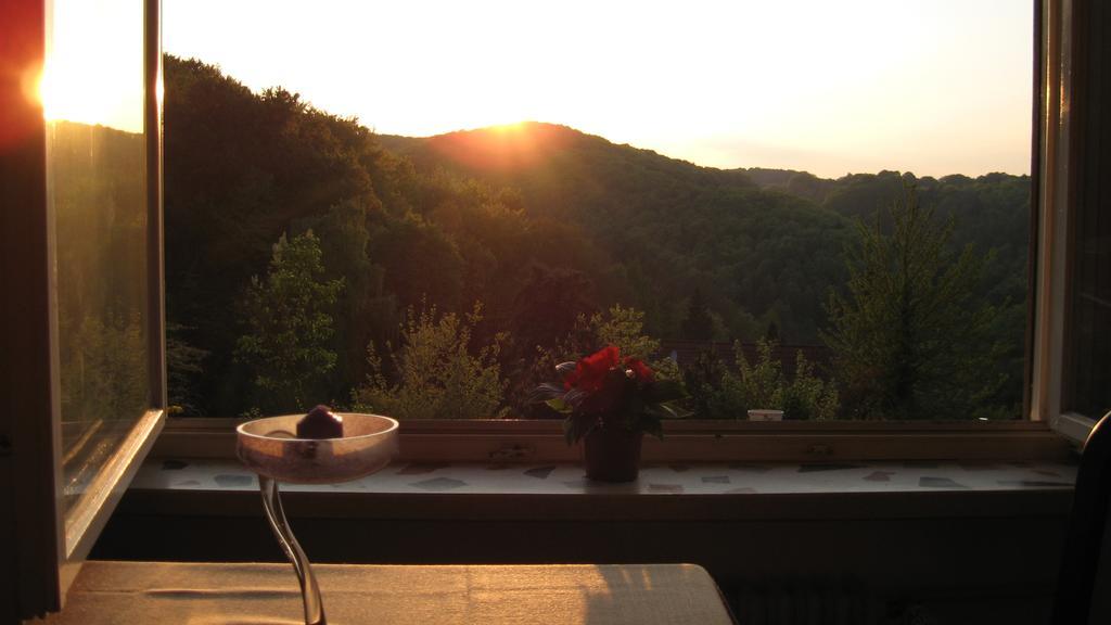 Schlossberg Ferienwohnung 발트에크 객실 사진